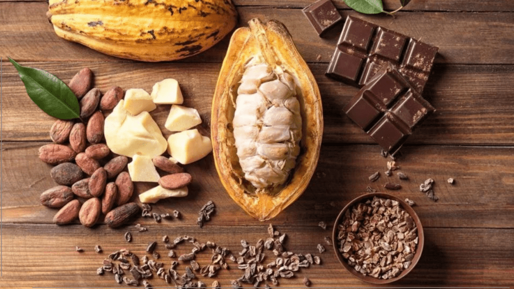 Daftar Komoditas Ekspor Yang Paling Laris Di Asia Tenggara Cocoa